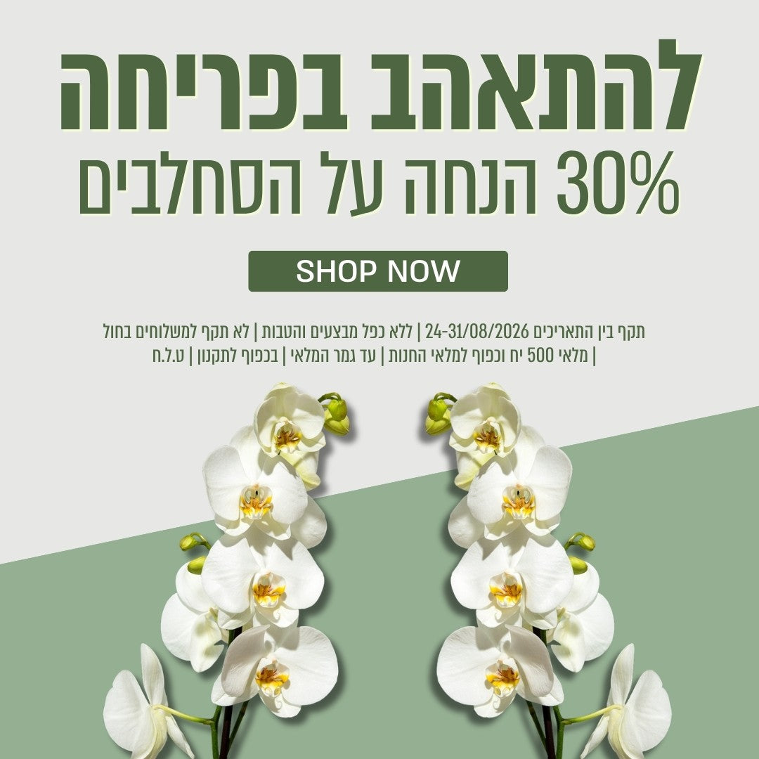 להתאהב בפריחה 30% הנחה על סחלבים עד 31.8 ללא כפל מבצעים