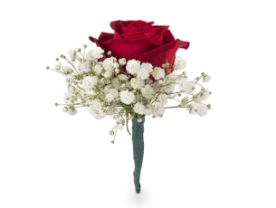 דש לחתן: ורד אדומה וגיבסנית לבנה ZER4U