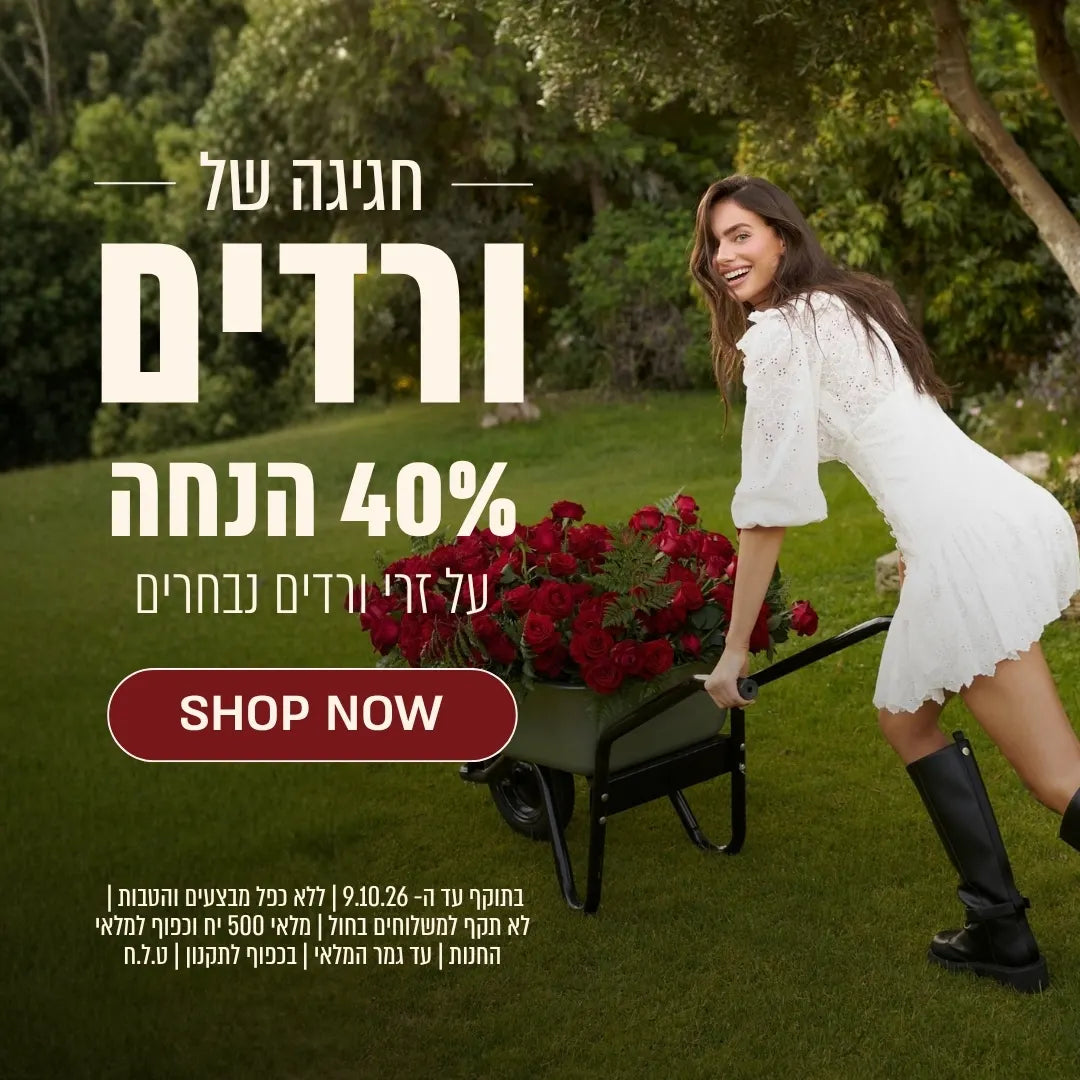 חגיגה של ורדים 40% הנחה על זרי ורדים נבחרים. קנה עכשיו. בתוקף עד ה 9.10.26 ללא כפל מבצעים והנחות. לא תקף למשלוחים בחול. מלאי 500 יחידות וכפוף למלאי החנות. עד גמר המלאי. בכפוף לתקנון. ט.ל.ח