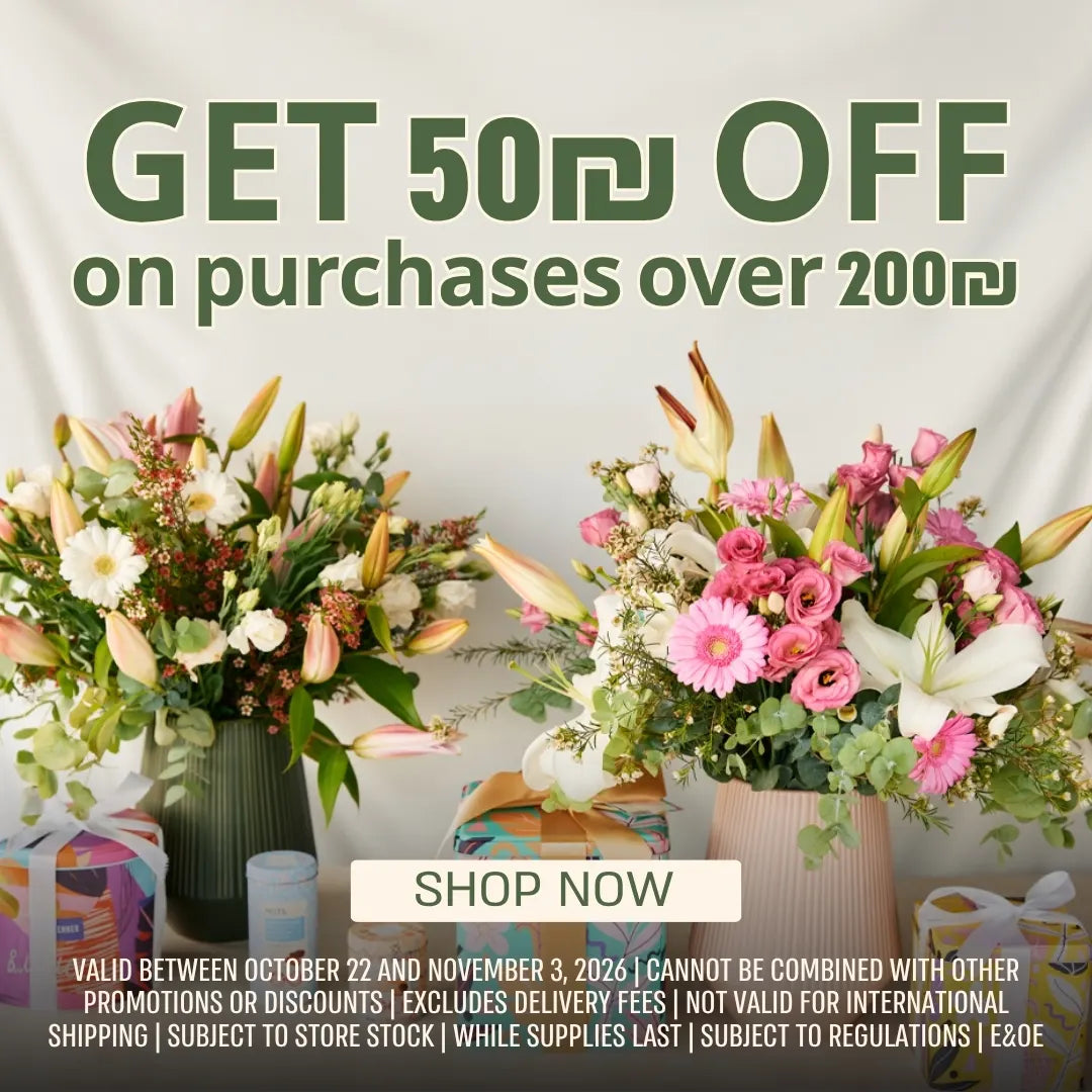 50 nis off orders over 200 nis. shop now. no multiple discounts. validity 22.10-3.11/2026. excluding delivery fees.until stocks run out
