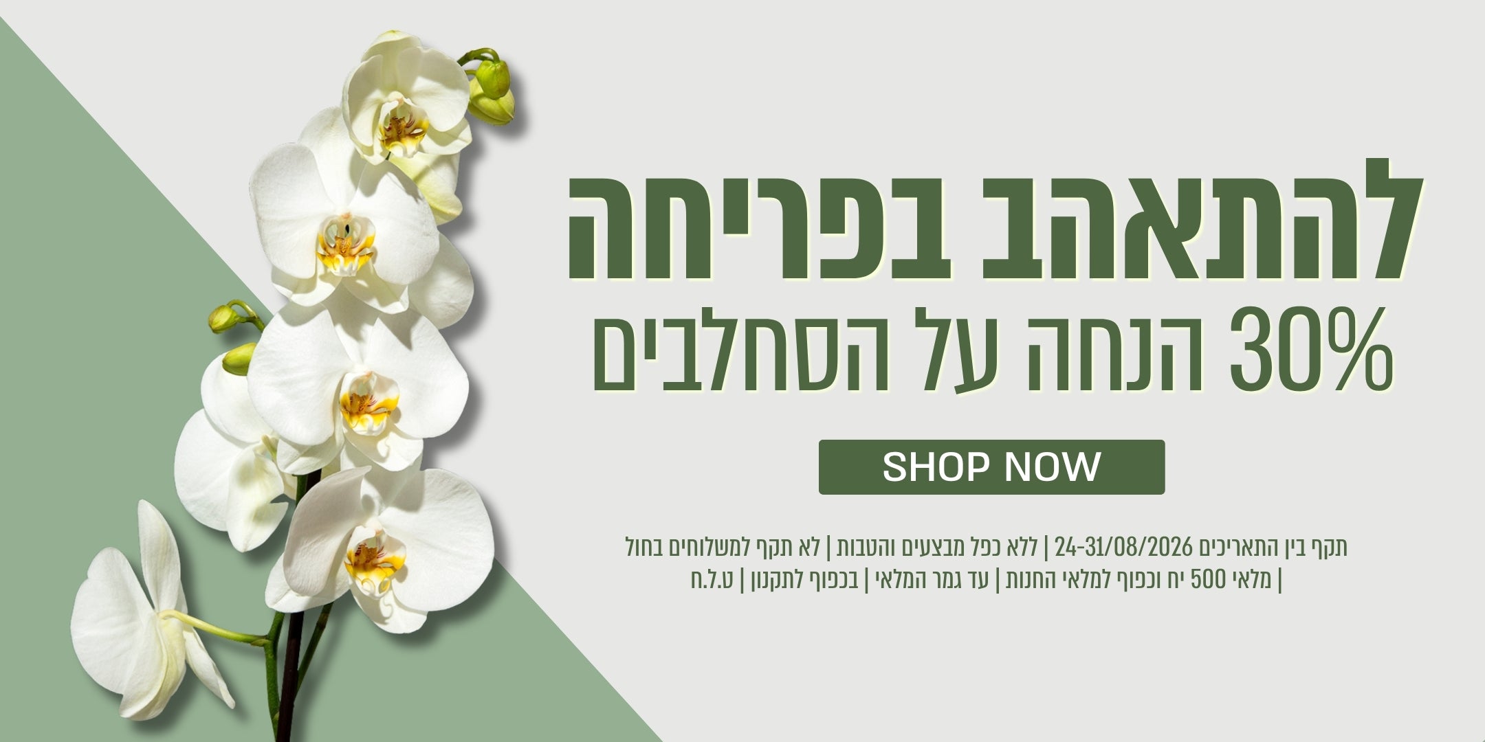 להתאהב בפריחה 30% הנחה על סחלבים עד 31.8 ללא כפל מבצעים