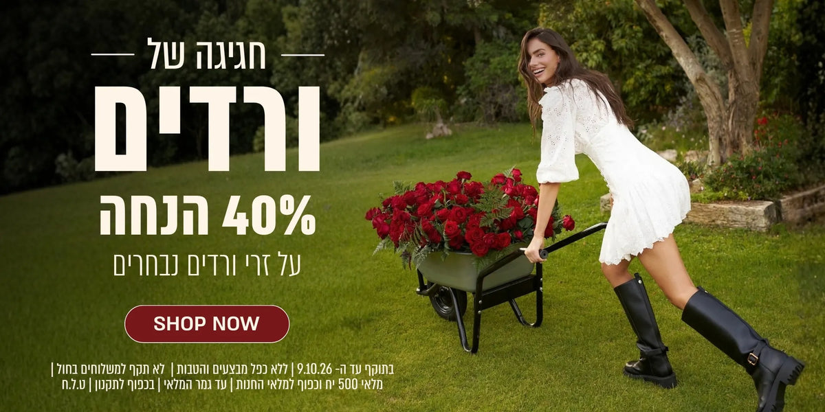 חגיגה של ורדים 40% הנחה על זרי ורדים נבחרים. קנה עכשיו. בתוקף עד ה 9.10.26 ללא כפל מבצעים והנחות. לא תקף למשלוחים בחול. מלאי 500 יחידות וכפוף למלאי החנות. עד גמר המלאי. בכפוף לתקנון. ט.ל.ח